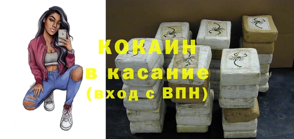 ГАЛЛЮЦИНОГЕННЫЕ ГРИБЫ Абаза