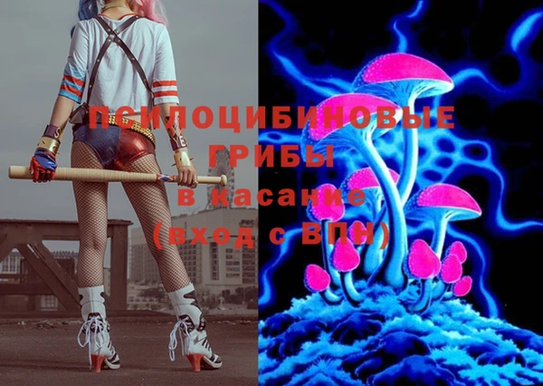 мяу мяу мука Абинск