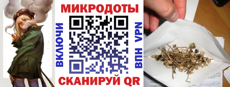 где можно купить   Касимов  Псилоцибиновые грибы мицелий 